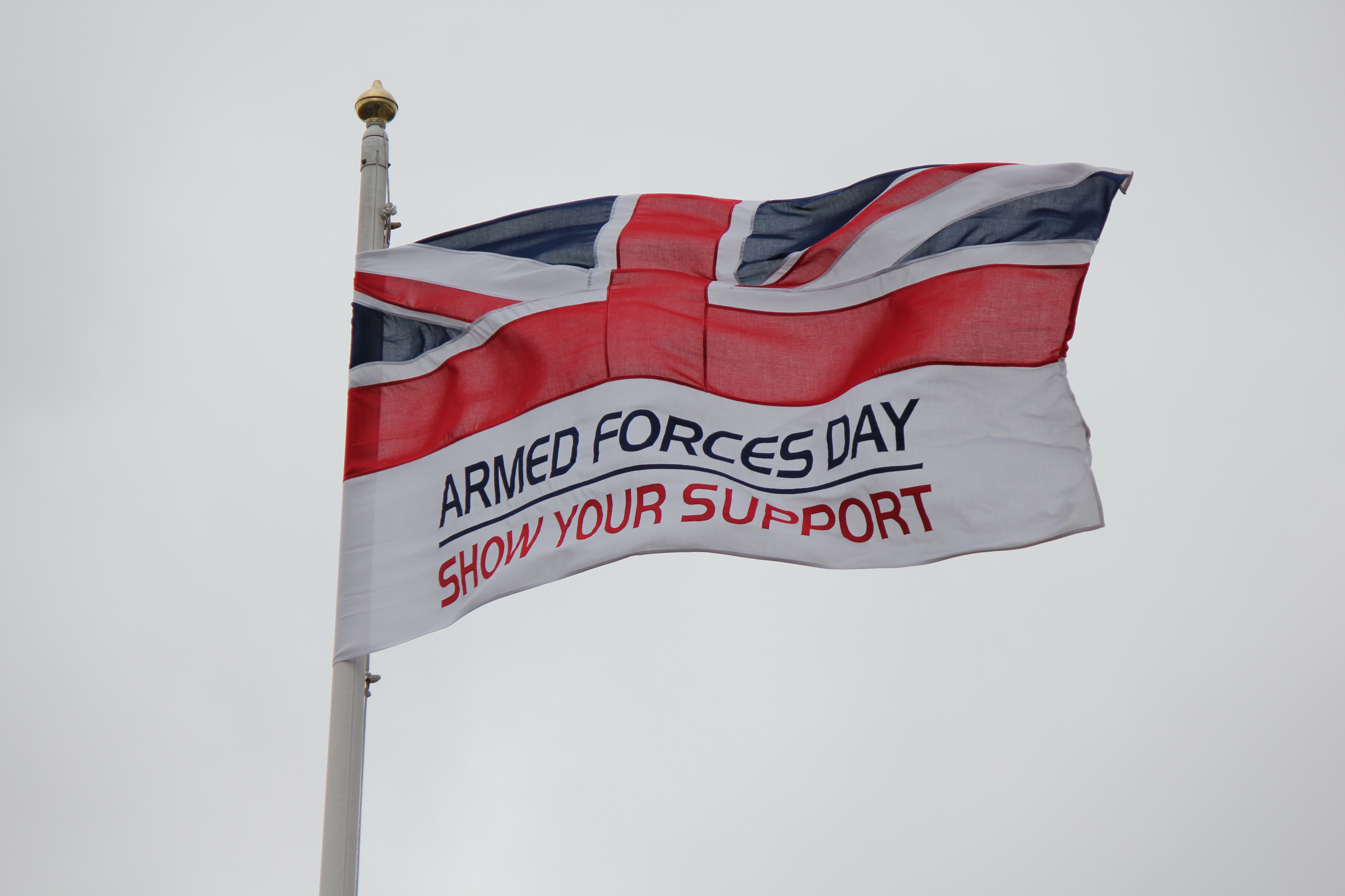 Photograph of the Armed Forces Day flag