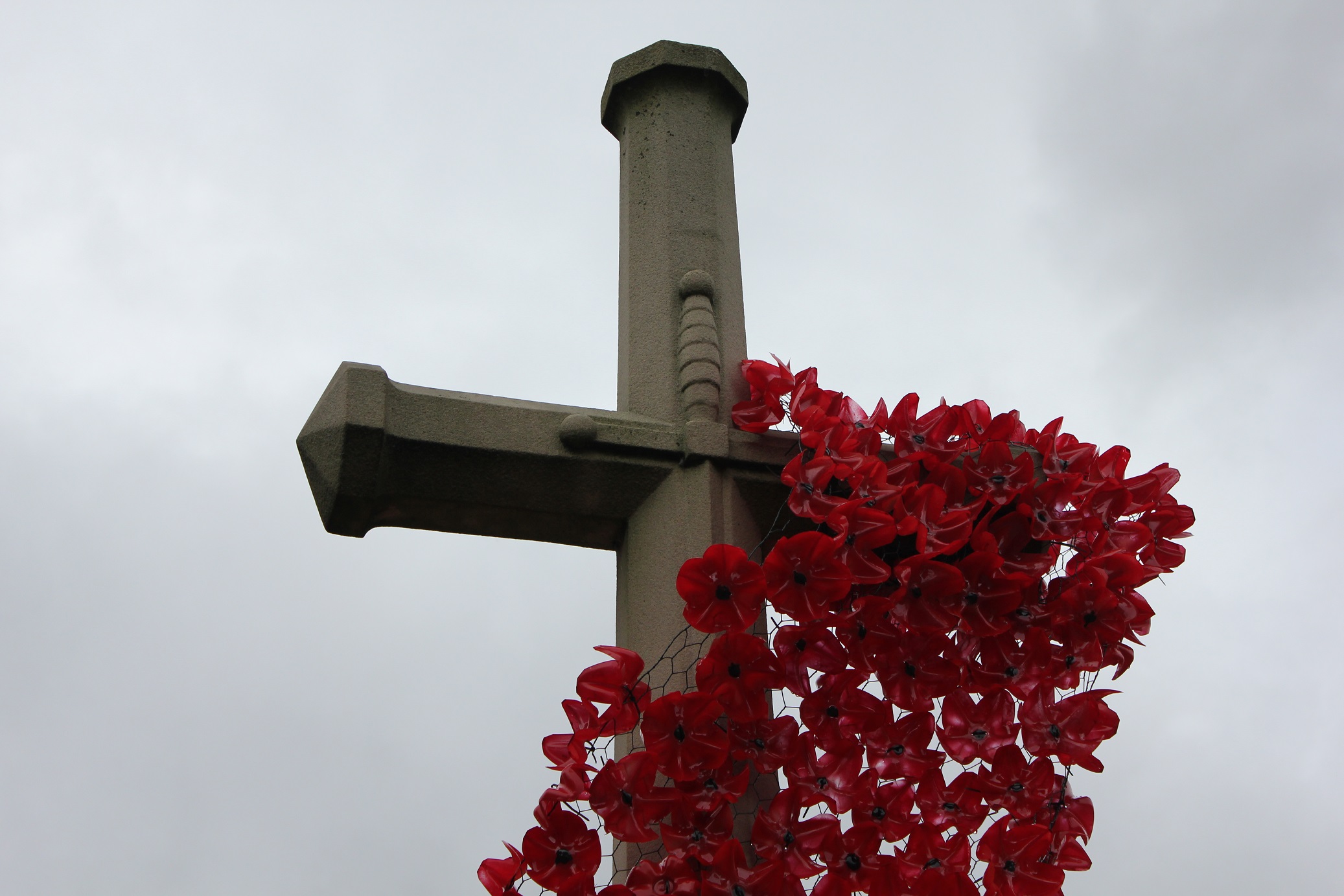 Nelson cenotaph with Remembrance Day poppies.