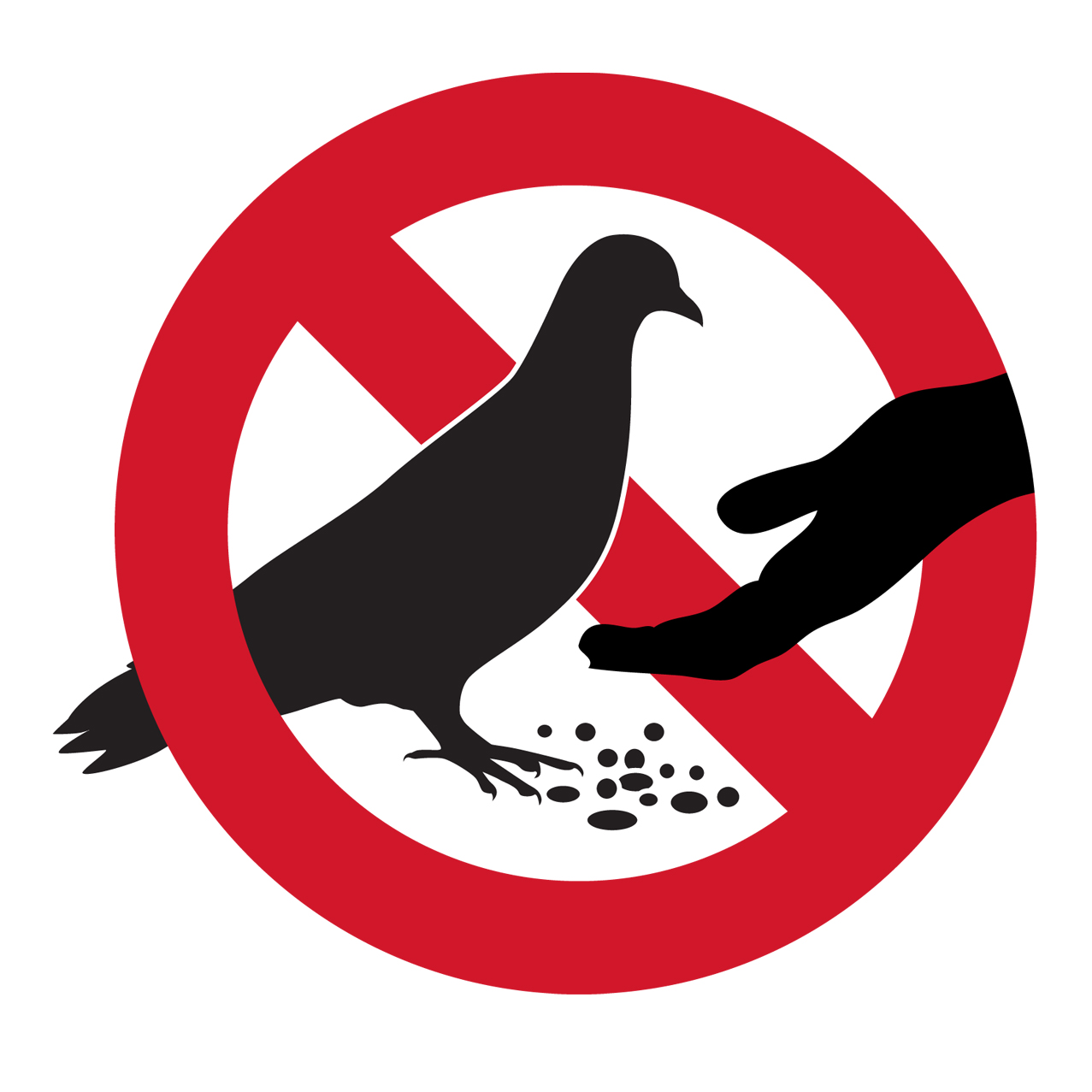 Pendle Council urges people not to feed the pigeons